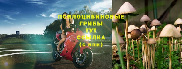 мяу мяу мука Алзамай
