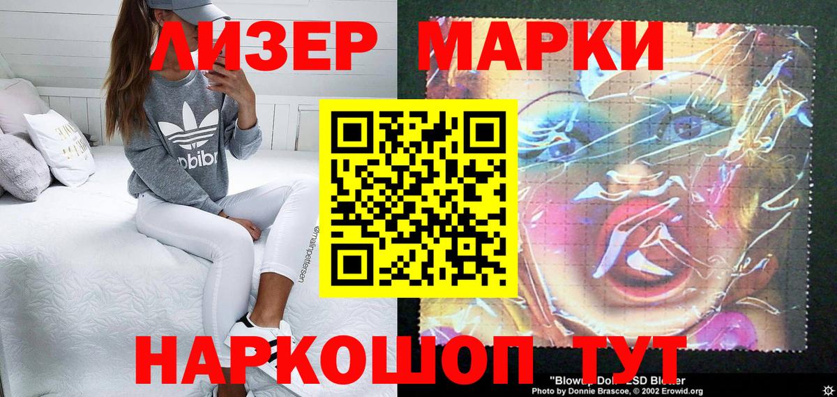 Наркотические марки 1500мкг  Вход с VPN  Новодвинск  продажа наркотиков  Наркотические марки 1500мкг 