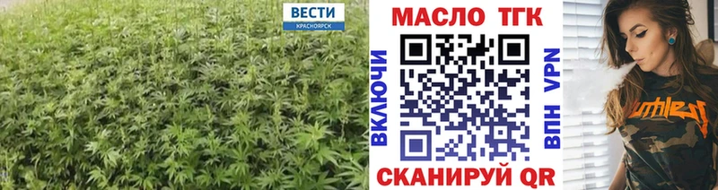 Дистиллят ТГК THC oil  купить наркотики сайты  ссылка на мегу зеркало  Новодвинск 