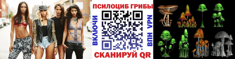 Псилоцибиновые грибы мицелий Новодвинск