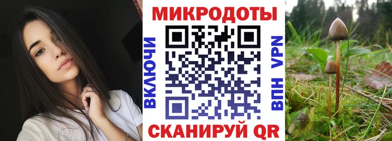 Галлюциногенные грибы Psilocybine cubensis  Новодвинск 