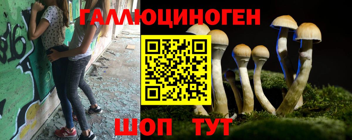 Новодвинск  Галлюциногенные грибы мухоморы  Вход с VPN  Псилоцибиновые грибы Psilocybe 